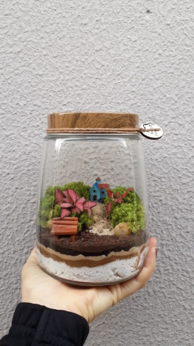 Terrário - miniecossistema. A cor da casinha pode variar conforme o estoque. Acompanha manual de instruções para cuidar do seu jardim.