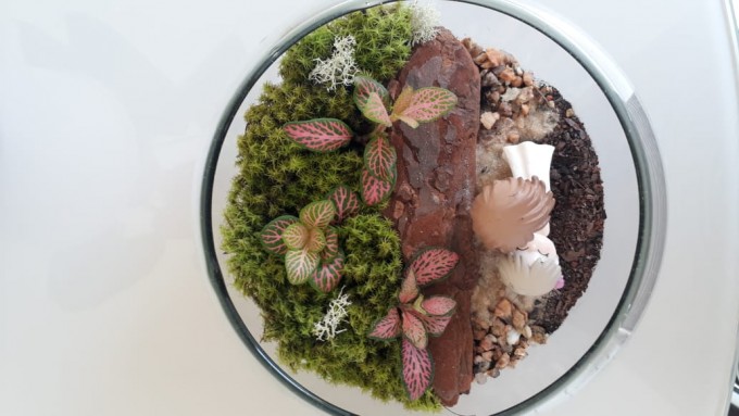 Terrário autossustentável com miniatura em resina. Acompanha o guia de instruções. 