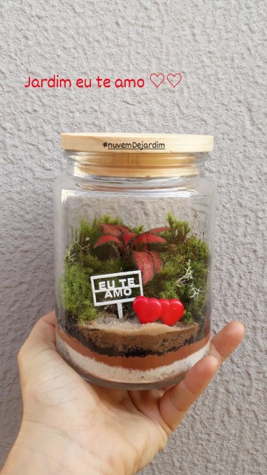 Terrários são miniecossistemas próprios. O jardim acompanha o guia de instruções. 