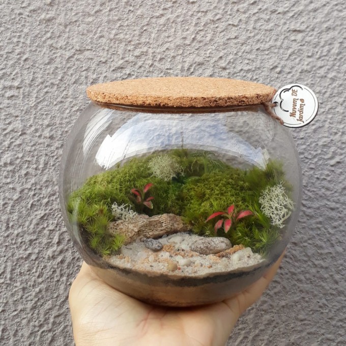 Jardim feito somente com plantas naturais. Acompanha guia de instruções. 