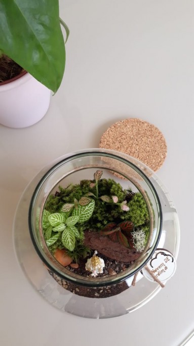 Terrário autossustentável com imagem sacra em resina de 8cm. Acompanha o guia de instruções para  cuidar do jardim. Podemos fazer com outras imagens de sua devoção também. 