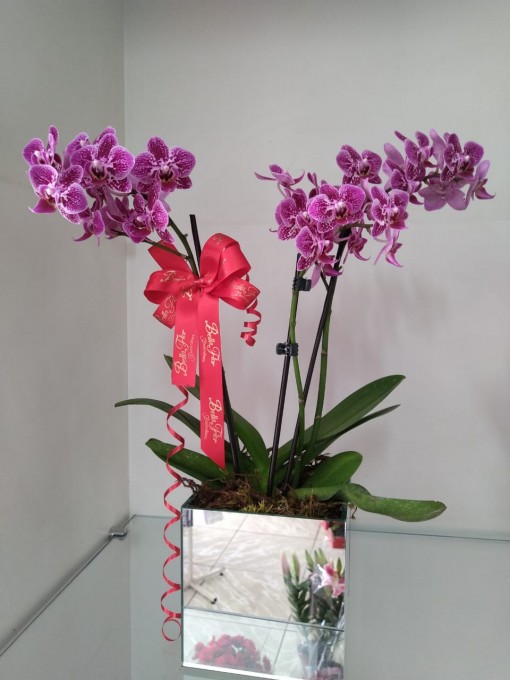 Mini Orquídea roxa no vidro espelhado com laço