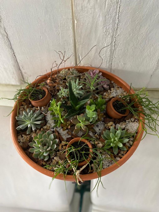 Bacia de barro com diversos tipos de suculentas formando um lindo mini jardim, com potes de barros complementando a decoração