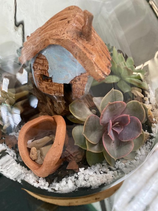 Terrário aberto em vidro com suculentas e adereços