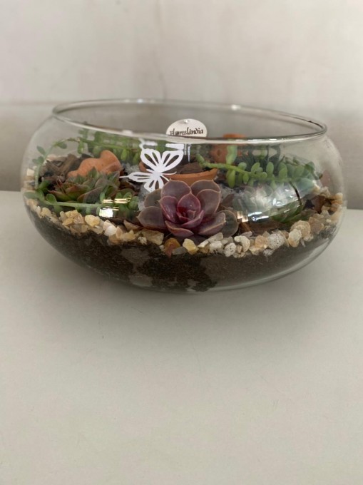 Maravilhoso terrário em pote de vidro aberto. Um verdadeiro jardim.