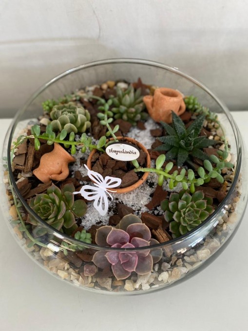 Maravilhoso terrário em pote de vidro aberto. Um verdadeiro jardim.